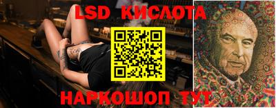 ПСИЛОЦИБИНОВЫЕ ГРИБЫ Нальчик