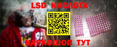 ПСИЛОЦИБИНОВЫЕ ГРИБЫ Нальчик