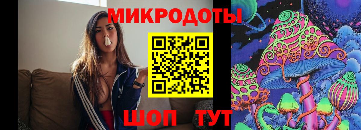 Сыктывкар  Псилоцибиновые грибы Psilocybe  Вход с VPN 
