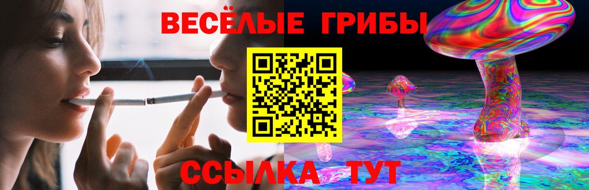 Псилоцибиновые грибы прущие грибы Сыктывкар