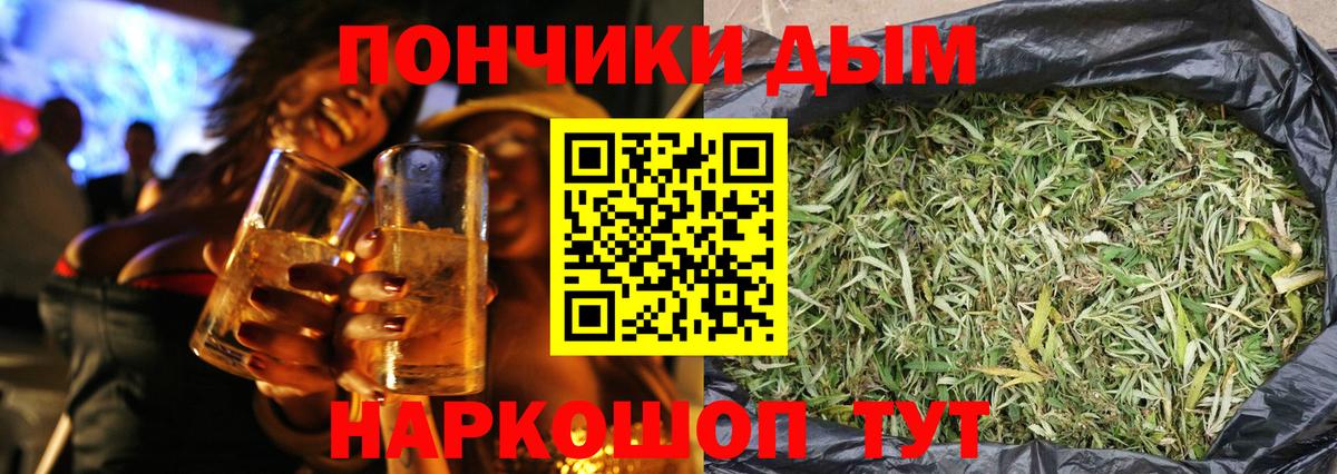 Бошки Шишки планчик Сыктывкар
